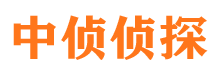 任城捉小三公司